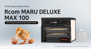 Rcom Maru MX100SD egg incubator image 2